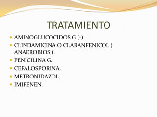 TRATAMIENTO
 AMINOGLUCOCIDOS G (-)
 CLINDAMICINA O CLARANFENICOL (
    ANAEROBIOS ).
   PENICILINA G.
   CEFALOSPORINA.
   METRONIDAZOL.
   IMIPENEN.
 