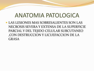 ANATOMIA PATOLOGICA
 LAS LESIONES MAS SOBRESALIENTES SON LAS
 NECROSIS SEVERA Y EXTENSA DE LA SUPERFICIE
 PARCIAL Y DEL TEJIDO CELULAR SUBCUTANEO
 ,CON DESTRUCCION Y LICUEFACCION DE LA
 GRASA
 