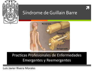 
               Síndrome de Guillain Barre




       Practicas Profesionales de Enfermedades
             Emergentes y Reemergentes
Luis Javier Rivera Morales
 
