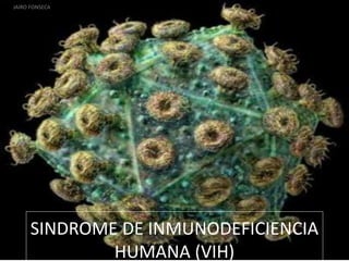 SINDROME DE INMUNODEFICIENCIA
HUMANA (VIH)
JAIRO FONSECA
 