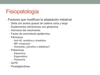 Fisiopatología
• Factores que modifican la adaptación intestinal
   • Dieta con ácidos grasos de cadena corta y larga
   • Suplementos alimenticios con glutamina
   • Hormona del crecimiento
   • Factor de crecimiento epidérmico
   • Fármacos
    • Anti H2: ranitidina y cimetidina
    • IBP: omeprazol
    • Octreotide ¿benefico o deletereo?
  • Poliaminas
    • Espermina
    • Espermidina
    • Putrescina
  • GLP2
  • Prostaglandinas
 