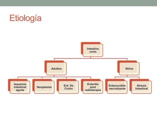 Etiología


                                            Intestino
                                              corto




                       Adultos                                        Niños




 Isquemia                                    Enteritis
                                 Enf. De                  Enterocolitis        Atresia
 intestinal   Neoplasias                       post
                                 Crohn                    necrotizante        intestinal
   aguda                                   radioterapia
 