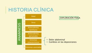 HISTORIA CLÍNICA
ANAMNESIS
Edad
Sexo
Antecedentes
familiares
Antecedentes
personales
Síntomas
característicos
Síntomas asociados
• Dolor abdominal
• Cambios en las deposiciones
EXPLORACIÓN FÍSICA
 
