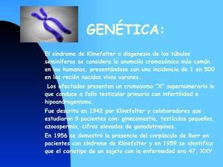GENÉTICA: El síndrome de Klinefelter o disgenesia de los túbulos seminíferos se considera la anomalía cromosómica más común en los humanos, presentándose con una incidencia de 1 en 500 en los recién nacidos vivos varones. Los afectados presentan un cromosoma “X” supernumerario lo que conduce a fallo testicular primario con infertilidad e hipoandrogenismo. Fue descrito en 1942 por Klinefelter y colaboradores que estudiaron 9 pacientes con: ginecomastia, testículos pequeños, azoospermia, cifras elevadas de gonadotropinas.  En 1956 se demostró la presencia del corpúsculo de Barr en pacientes con síndrome de Klinefelter y en 1959 se identifica que el cariotipo de un sujeto con la enfermedad era 47, XXY  
