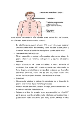 Estas son las características más comunes en los varones XXY. No obstante,
no todas ellas aparecen en un mismo individuo :
 En edad temprana, cuando el varón XXY es un bebé, suele presentar
una musculatura menos desarrollada y fuerza reducida. Suelen gatear y
comenzar a andar de forma más torpe y tardía que los demás niños.
 Talla elevada en la edad adulta.
 Mayor propensión a padecer enfermedades autoinmunes, cáncer de
pecho, alteraciones venarias, osteoporosis y algunas alteraciones
dentarias.
 Mayor acumulación de grasa subcutánea y mayor tendencia al
sobrepeso. Los varones XXY poseen un cuerpo más redondeado, en
forma de pera, característico de la mujer. Esto se debe a que desarrollan
caracteres femeninos, siendo uno de ellos el poseer caderas más
anchas o acumular grasa en zonas características de la mujer.
 Esterilidad.
 Ginecomastia unilateral o bilateral. Se caracteriza por el desarrollo de
pechos en el hombre (tejido mamario agrandado).
 Escasez de vello en la cara y en todo el cuerpo, consecuencia directa de
la baja concentración de testosterona.
 Retraso en el área del lenguaje, lectura y comprensión. Los niños XXY
por lo general aprenden a hablar mucho más tarde que los otros niños, y
pueden tener ciertas dificultades para leer y escribir. Muchos de ellos
 