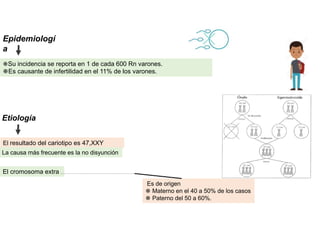 ❋Su incidencia se reporta en 1 de cada 600 Rn varones.
❋Es causante de infertilidad en el 11% de los varones.
Epidemiologí
a
El resultado del cariotipo es 47,XXY
Etiología
La causa más frecuente es la no disyunción
Es de origen
❋ Materno en el 40 a 50% de los casos
❋ Paterno del 50 a 60%.
El cromosoma extra
 
