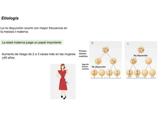 La no disyunción ocurre con mayor frecuencia en
la meiosis I materna.
Etiología
La edad materna juega un papel importante
Aumento de riesgo de 2 a 3 veces más en las mujeres
>40 años.
 