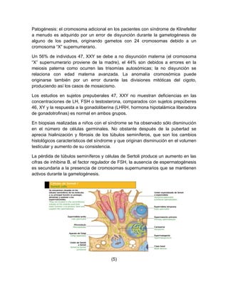 Patogénesis: el cromosoma adicional en los pacientes con síndrome de Klinefelter
a menudo es adquirido por un error de disyunción durante la gametogénesis de
alguno de los padres, originando gametos con 24 cromosomas debido a un
cromosoma “X” supernumerario.

Un 56% de individuos 47, XXY se debe a no disyunción materna (el cromosoma
“X” supernumerario proviene de la madre), el 44% son debidos a errores en la
meiosis paterna como ocurren las trisomías autosómicas; la no disyunción se
relaciona con edad materna avanzada. La anomalía cromosómica puede
originarse también por un error durante las divisiones mitóticas del cigoto,
produciendo así los casos de mosaicismo.

Los estudios en sujetos prepuberales 47, XXY no muestran deficiencias en las
concentraciones de LH, FSH o testosterona, comparados con sujetos prepúberes
46, XY y la respuesta a la gonadoliberina (LHRH, hormona hipotalámica liberadora
de gonadotrofinas) es normal en ambos grupos.

En biopsias realizadas a niños con el síndrome se ha observado sólo disminución
en el número de células germinales. No obstante después de la pubertad se
aprecia hialinización y fibrosis de los túbulos seminíferos, que son los cambios
histológicos característicos del síndrome y que originan disminución en el volumen
testicular y aumento de su consistencia.

La pérdida de túbulos seminíferos y células de Sertoli produce un aumento en las
cifras de inhibina B, el factor regulador de FSH, la ausencia de espermatogénesis
es secundaria a la presencia de cromosomas supernumerarios que se mantienen
activos durante la gametogénesis.




                                       (5)
 