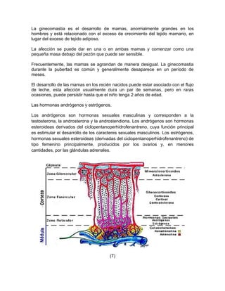 La ginecomastia es el desarrollo de mamas, anormalmente grandes en los
hombres y está relacionado con el exceso de crecimiento del tejido mamario, en
lugar del exceso de tejido adiposo.

La afección se puede dar en una o en ambas mamas y comenzar como una
pequeña masa debajo del pezón que puede ser sensible.

Frecuentemente, las mamas se agrandan de manera desigual. La ginecomastia
durante la pubertad es común y generalmente desaparece en un período de
meses.

El desarrollo de las mamas en los recién nacidos puede estar asociado con el flujo
de leche, esta afección usualmente dura un par de semanas, pero en raras
ocasiones, puede persistir hasta que el niño tenga 2 años de edad.

Las hormonas andrógenos y estrógenos.

Los andrógenos son hormonas sexuales masculinas y corresponden a la
testosterona, la androsterona y la androstendiona. Los andrógenos son hormonas
esteroideas derivados del ciclopentanoperhidrofenantreno, cuya función principal
es estimular el desarrollo de los caracteres sexuales masculinos. Los estrógenos,
hormonas sexuales esteroideas (derivadas del ciclopentanoperhidrofenantreno) de
tipo femenino principalmente, producidos por los ovarios y, en menores
cantidades, por las glándulas adrenales.




                                       (7)
 