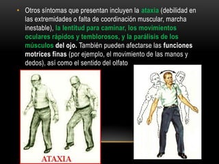 • Otros síntomas que presentan incluyen la ataxia (debilidad en
las extremidades o falta de coordinación muscular, marcha
inestable), la lentitud para caminar, los movimientos
oculares rápidos y temblorosos, y la parálisis de los
músculos del ojo. También pueden afectarse las funciones
motrices finas (por ejemplo, el movimiento de las manos y
dedos), así como el sentido del olfato

 