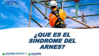 ¿QUE ES EL
SINDROME DEL
ARNES?
 