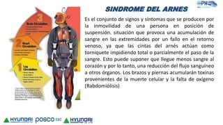SINDROME DEL ARNES
Es el conjunto de signos y síntomas que se producen por
la inmovilidad de una persona en posición de
suspensión. situación que provoca una acumulación de
sangre en las extremidades por un fallo en el retorno
venoso, ya que las cintas del arnés actúan como
torniquete impidiendo total o parcialmente el paso de la
sangre. Esto puede suponer que llegue menos sangre al
corazón y por lo tanto, una reducción del flujo sanguíneo
a otros órganos. Los brazos y piernas acumularán toxinas
provenientes de la muerte celular y la falta de oxígeno
(Rabdomiólisis)
 