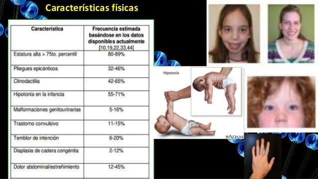 SX DE LA TRIPLE X. GENÉTICA HUMANA