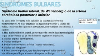 Síndrome bulbar lateral, de Wallenberg o de la arteria 
cerebelosa posterior e inferior 
Su causa más frecuente es la oclusión de la arteria cerebelosa 
posteroinferior. Al estar afectadas las regiones posterior y lateral del 
bulbo, se afectan las siguientes estructuras, que expresan los síntomas y 
signos: 
1. Haz espinotalámico lateral, que conduce la sensibilidad termoalgésica 
y que se ha cruzado ya en los diferentes segmentos medulares. 
2. Núcleo espinal del trigémino. 
3. Núcleo ambiguo. 
4. Pedúnculo cerebeloso inferior (cuerpo restiforme). 
5. Núcleo del hipogloso. 
6. Fibras oculosimpáticas, que descienden por el bulbo desde el 
hipotálamo para llegar al centro ciliospinal de Budge. 
Afecion del V, IX, X, XI 
Nervio craneal 
 