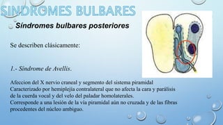 Síndromes bulbares posteriores 
Se describen clásicamente: 
1.- Síndrome de Avellis. 
Afeccion del X nervio craneal y segmento del sistema piramidal 
Caracterizado por hemiplejía contralateral que no afecta la cara y parálisis 
de la cuerda vocal y del velo del paladar homolaterales. 
Corresponde a una lesión de la vía piramidal aún no cruzada y de las fibras 
procedentes del núcleo ambiguo. 
 