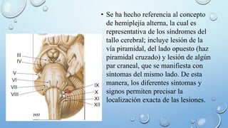 • Se ha hecho referencia al concepto 
de hemiplejía alterna, la cual es 
representativa de los síndromes del 
tallo cerebral; incluye lesión de la 
vía piramidal, del lado opuesto (haz 
piramidal cruzado) y lesión de algún 
par craneal, que se manifiesta con 
síntomas del mismo lado. De esta 
manera, los diferentes síntomas y 
signos permiten precisar la 
localización exacta de las lesiones. 
 
