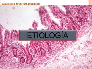 ABSORCIÓN INTESTINAL DEFICIENTE
ETIOLOGÍA
 