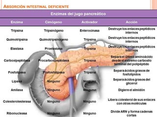 TRASTORNOS ENDÓCRINOS Y METABÓLICOS
ABSORCIÓN INTESTINAL DEFICIENTE
 