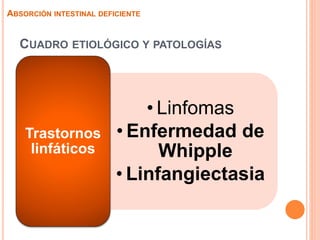 CUADRO ETIOLÓGICO Y PATOLOGÍAS
• Linfomas
• Enfermedad de
Whipple
• Linfangiectasia
Trastornos
linfáticos
ABSORCIÓN INTESTINAL DEFICIENTE
 