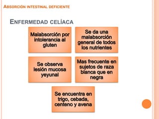 ENFERMEDAD CELÍACA
ABSORCIÓN INTESTINAL DEFICIENTE
 