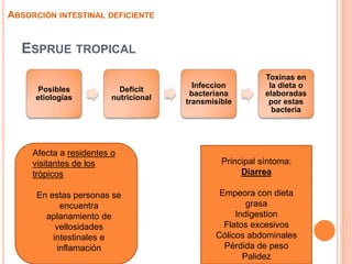 ESPRUE TROPICAL
Posibles
etiologías
Deficit
nutricional
Infeccion
bacteriana
transmisible
Toxinas en
la dieta o
elaboradas
por estas
bacteria
ABSORCIÓN INTESTINAL DEFICIENTE
Afecta a residentes o
visitantes de los
trópicos
En estas personas se
encuentra
aplanamiento de
vellosidades
intestinales e
inflamación
Principal síntoma:
Diarrea
Empeora con dieta
grasa
Indigestion
Flatos excesivos
Cólicos abdominales
Pérdida de peso
Palidez
 