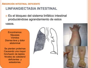 LINFANGIECTASIA INTESTINAL
 Es el bloqueo del sistema linfático intestinal
produciéndose agrandamiento de estos
vasos.
ABSORCIÓN INTESTINAL DEFICIENTE
Encontramos:
Náuseas
Vómitos
Diarrea leve y dolor
abdominal
Se pierden proteínas
Causando una mayor
hinchazón de tejidos
Niveles de colesterol
deficientes y
esteatorrea.
 