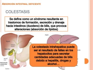 COLESTASIS
ABSORCIÓN INTESTINAL DEFICIENTE
 