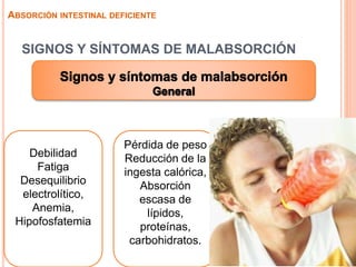 SIGNOS Y SÍNTOMAS DE MALABSORCIÓN
ABSORCIÓN INTESTINAL DEFICIENTE
Debilidad
Fatiga
Desequilibrio
electrolítico,
Anemia,
Hipofosfatemia
Pérdida de peso
Reducción de la
ingesta calórica,
Absorción
escasa de
lípidos,
proteínas,
carbohidratos.
 