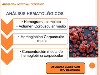 ANÁLISIS HEMATOLÓGICOS
ABSORCIÓN INTESTINAL DEFICIENTE
.
• Hemograma completo
• Volumen Corpuscular medio
.
• Hemoglobina Corpuscular
media
.
• Concentración media de
hemoglobina corpuscular
 