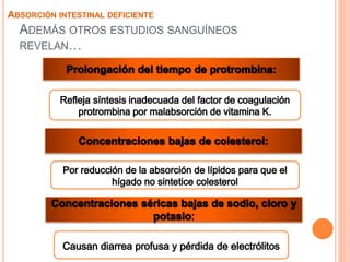 ADEMÁS OTROS ESTUDIOS SANGUÍNEOS
REVELAN…
ABSORCIÓN INTESTINAL DEFICIENTE
 