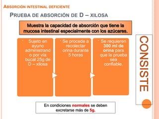 PRUEBA DE ABSORCIÓN DE D – XILOSA
ABSORCIÓN INTESTINAL DEFICIENTE
.
Sujeto en
ayuno
administrand
o por vía
bucal 25g de
D – xilosa
.
Se procede a
recolectar
orina durante
5 horas
.
Se requieren
300 ml de
orina para
que la prueba
sea
confiable.
En condiciones normales se deben
excretarse más de 5g.
 