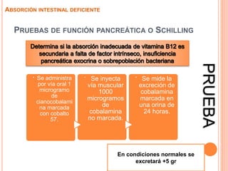 PRUEBAS DE FUNCIÓN PANCREÁTICA O SCHILLING
ABSORCIÓN INTESTINAL DEFICIENTE
.
Se administra
por vía oral 1
microgramo
de
cianocobalami
na marcada
con cobalto
57.
.
Se inyecta
vía muscular
1000
microgramos
de
cobalamina
no marcada.
.
Se mide la
excreción de
cobalamina
marcada en
una orina de
24 horas.
En condiciones normales se
excretará +5 gr
PRUEBA
 
