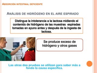 ANÁLISIS DE HIDRÓGENO EN EL AIRE ESPIRADO
Las otras dos pruebas se utilizan para saber más a
fondo la causa específica.
ABSORCIÓN INTESTINAL DEFICIENTE
 