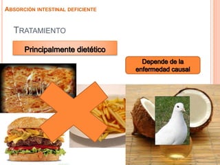 TRATAMIENTO
ABSORCIÓN INTESTINAL DEFICIENTE
 