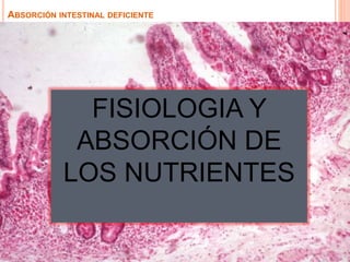 ABSORCIÓN INTESTINAL DEFICIENTE
FISIOLOGIA Y
ABSORCIÓN DE
LOS NUTRIENTES
 