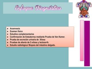 ♠   Anamnesis
♠   Examen físico
♠   Estudios complementarios
♠   Confirmación de Esteatorrea mediante Prueba de Van Kamer.
♠   Prueba de excreción urinaria de Xilosa
♠   Pruebas de aliento de C-xilosa y lactosa-H2
♠   Estudio radiológico/ Biopsia del intestino delgado.
 