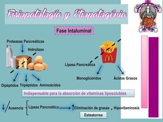 Fase Intaluminal
   Proteasas Pancreáticas

                 Hidrolizan


                                      Lípasa Pancreática


                                            Monoglicéridos        Ácidos Grasos
Dipéptidos Tripéptidos Aminoácidos
               Indispensable para la absorción de vitaminas liposolubles


    Ausencia     Lípasa Pancreática        Eliminación de grasas + Hipovitaminosis
                                                 Esteatorrea
 