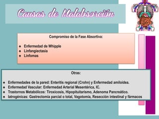 Compromiso de la Fase Absortiva:

           ♠ Enfermedad de Whipple
           ♠ Linfangiectasia
           ♠ Linfomas



                                            Otras:

♠   Enfermedades de la pared: Enteritis regional (Crohn) y Enfermedad amiloidea.
♠   Enfermedad Vascular: Enfermedad Arterial Mesentérica, IC.
♠   Trastornos Metabólicos: Tiroxicosis, Hipopituitarismo, Adenoma Pancreático.
♠   Iatrogénicas: Gastrectomía parcial o total, Vagotomía, Resección intestinal y fármacos
 