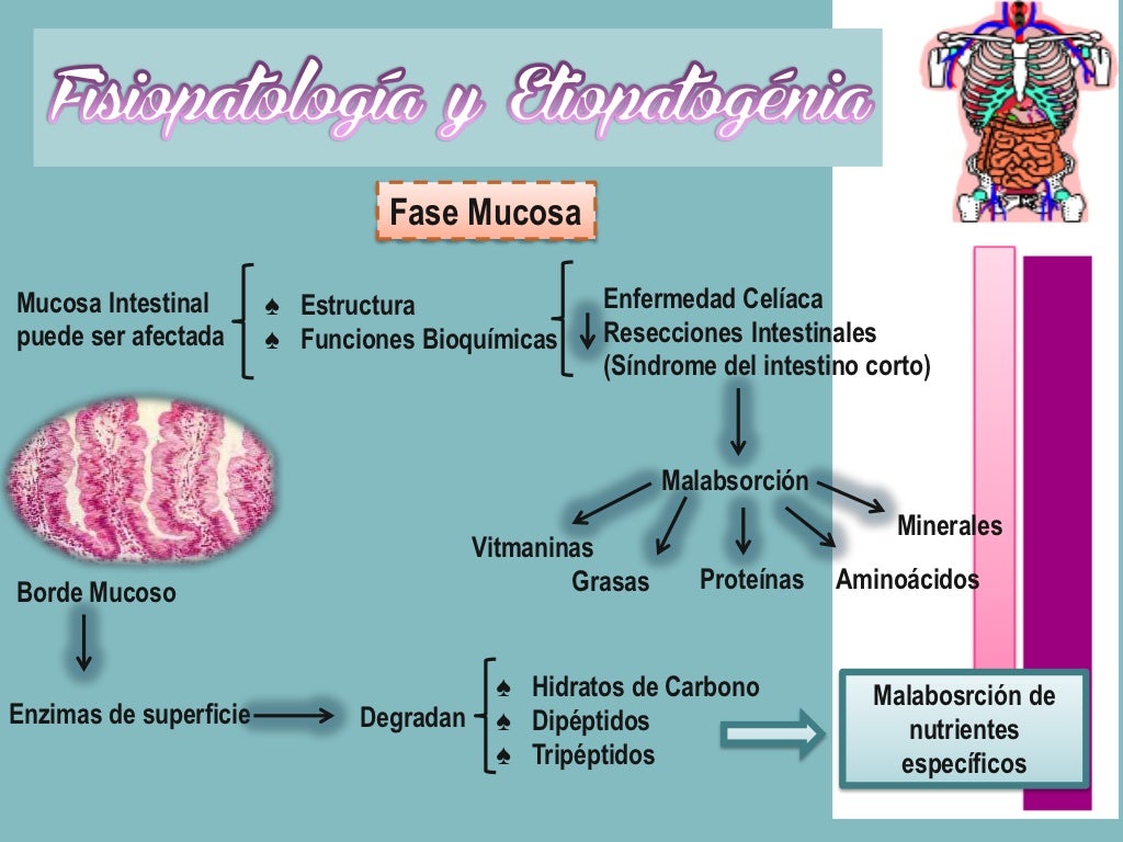 Sindrome de malabsorcion