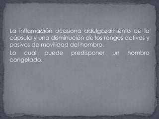 La inflamación ocasiona adelgazamiento de la cápsula y una disminución de los rangos activos y pasivos de movilidad del hombro.Lo cual puede predisponer un hombro congelado.