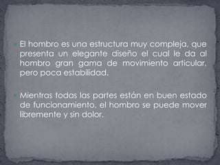 El hombro es una estructura muy compleja, que presenta un elegante diseño el cual le da al hombro gran gama de movimiento articular, pero poca estabilidad.Mientras todas las partes están en buen estado de funcionamiento, el hombro se puede mover libremente y sin dolor.
