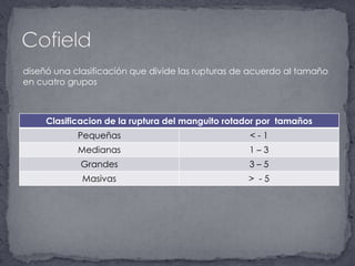 Cofielddiseñó una clasificación que divide las rupturas de acuerdo al tamaño en cuatro grupos