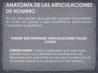 Es una articulación que permite generar movimientos en todos los planos y ejes anatómicos (articulación verdadera y enartrosis).PUEDEN ENCONTRARSE ARTICULACIONES FALSAS COMO:SUBDELTOIDEA: (falsa) compuesta por una bursa subdeltoidea que permite los movimientos de flexoextensión que evita el roce del humero con el acromion sobre en la abdduccion de hombro.ANATOMÍA DE LAS ARTICULACIONES DE HOMBRO