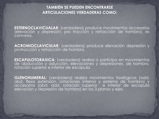 TAMBIÉN SE PUEDEN ENCONTRARSE ARTICULACIONES VERDADERASCOMO:ESTERNOCLAVICUALAR: (verdadera) produce movimientos accesorios (elevación y depresión, pro tracción y retracción de hombro), es convexa.ACROMIOCLAVICULAR: (verdadera) produce elevación depresión y protracción y retracción de hombro.ESCAPULOTORAXICA: (verdadera) realiza o participa en movimientos de abducción y aducción, elevaciones y depresiones, de hombro, rotación superior e inferior de escapula.GLENOHUMERAL: (verdadera) realiza movimientos fisiológicos (add, abd, flexo extensión, rotaciones interna y externa de hombro) y accesorios (abd, add, rotación superior  e inferior de escapula elevación y depresión de hombro) en los 3 planos y ejes.