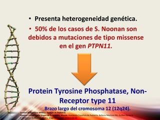 • Presenta heterogeneidad genética.
• 50% de los casos de S. Noonan son
debidos a mutaciones de tipo missense
en el gen PTPN11.
Protein Tyrosine Phosphatase, Non-
Receptor type 11
Brazo largo del cromosoma 12 (12q24).
Unidad de Genética Médica. Servicio de Pediatría.
Hospital Universitario Virgen de la Arrixaca, Murcia. Asociación Española de Pediatría. Ballesta Martinez MJ, Guillen-Navarro
E. Sindrome de Noonan. Protoc diagn ter pediatr. 2010;1:56-63.
 