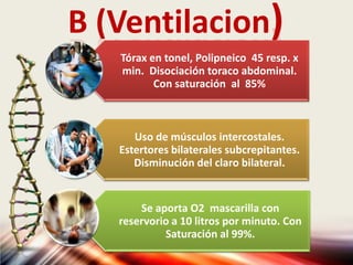 B (Ventilacion)
Tórax en tonel, Polipneico 45 resp. x
min. Disociación toraco abdominal.
Con saturación al 85%
Uso de músculos intercostales.
Estertores bilaterales subcrepitantes.
Disminución del claro bilateral.
Se aporta O2 mascarilla con
reservorio a 10 litros por minuto. Con
Saturación al 99%.
 