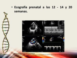 • Ecografía prenatal a las 12 - 14 y 20
semanas.
Unidad de Genética Médica. Servicio de Pediatría.
Hospital Universitario Virgen de la Arrixaca, Murcia. Asociación Española de Pediatría. Ballesta Martinez MJ, Guillen-Navarro
E. Sindrome de Noonan. Protoc diagn ter pediatr. 2010;1:56-63.
 