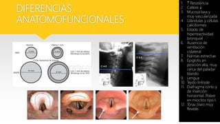 DIFERENCIAS
ANATOMOFUNCIONALES
1.  Resistencia
2. Calibre 
3. Mucosa laxa y
muy vascularizada
4. Glándulas y células
caliciformes
5. Estado de
hiperreactividad
bronquial
6. Ausencia de
ventilación
colateral
7. Narinas estrechas
8. Epiglotis en
posición alta, muy
cerca del paladar
blando
9. Lengua
10. Tejido linfoide
11. Diafragma corto y
de inserción
horizontal. Pobre
en miocitos tipo I.
12. Tórax óseo muy
flexible.
 