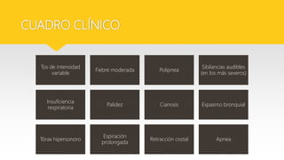 CUADRO CLÍNICO
Tos de intensidad
variable
Fiebre moderada Polipnea
Sibilancias audibles
(en los más severos)
Insuficiencia
respiratoria
Palidez Cianosis Espasmo bronquial
Tórax hipersonoro
Espiración
prolongada
Retracción costal Apnea
 