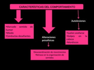 CARACTERÍSTICAS DEL COMPORTAMIENTO




                                                               Autolesiones

•Marcado sentido de
humor
•Miedo                                                      •Suelen arañarse
•Conductas desafiantes           Alteraciones               •Golpes en la
                                 psicofísicas               cabeza
                                                            •Mordiscos


                         •Descoordinación de movimientos
                           •Retraso en la organización de
                                     sentidos
 